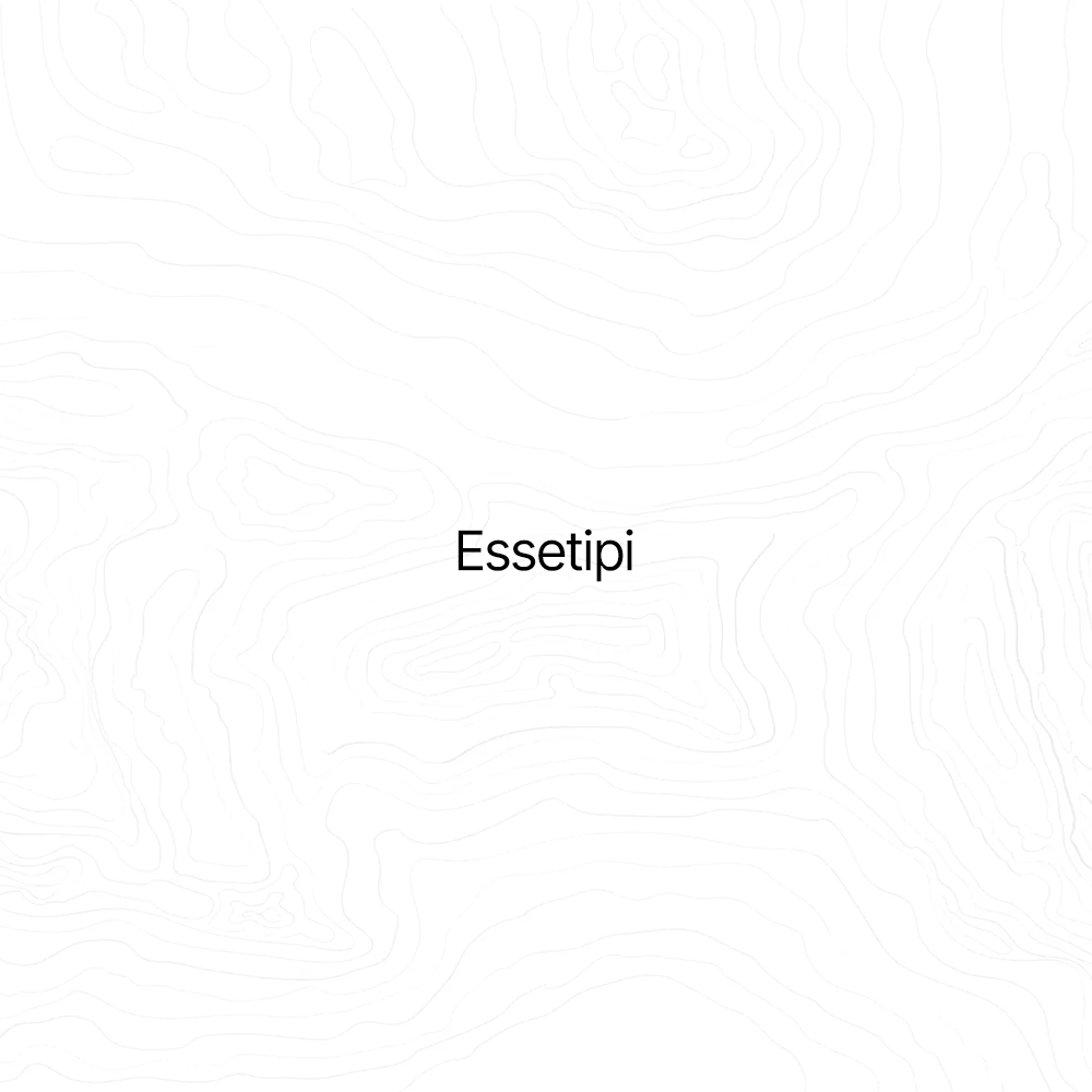 Essetipi